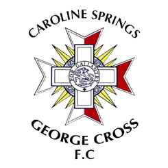 卡罗琳直播